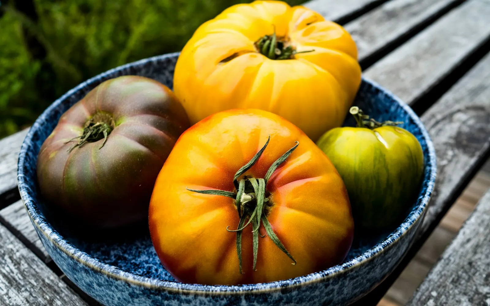 Heirloom tomatoes in a blue bowl on a weathered wooden table